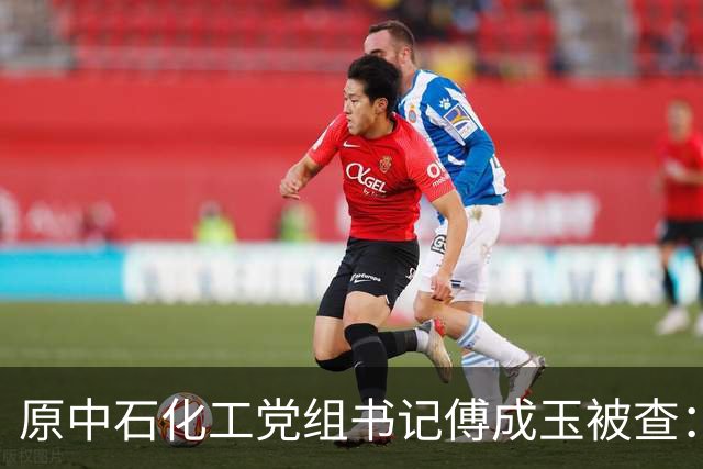 原中石化工党组书记傅成玉被查：退休不是平安着陆证，释放最强反腐信号