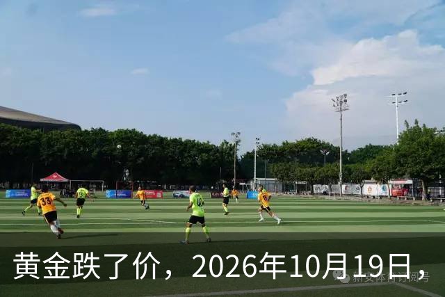 黄金跌了价，2026年10月19日，中国黄金最新价格，人民币黄金最新价格